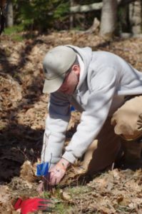 Scientist Nicholas Fisichelli planting a seedling.