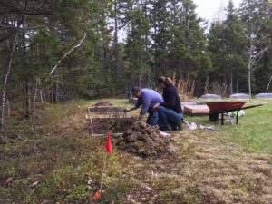 Two people plant seedlings in the dirt of a forest plot.